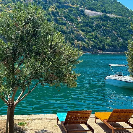 Three Olives * Mokošica